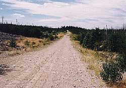 going west toward woodland caribou provincial park, ontario canada