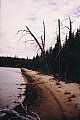 A sandy beach on wrist lake - woodland caribou provincial park ontario