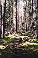 A portage path near mexican hat falls - woodland caribou provincial park