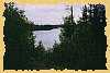 Coming out of a portage in the 1989 burn area