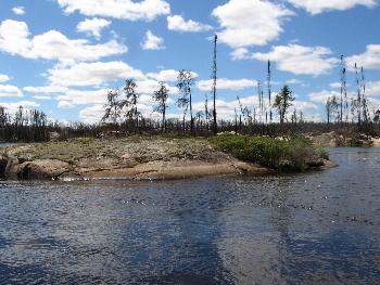 A burned island on Jigsaw Lake