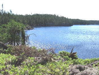 Poodle Lake