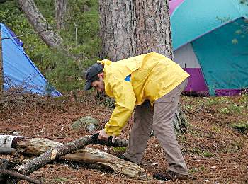 Marc gathering wood - algonquin provincial park